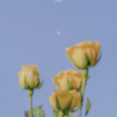 世界功夫足球中文版