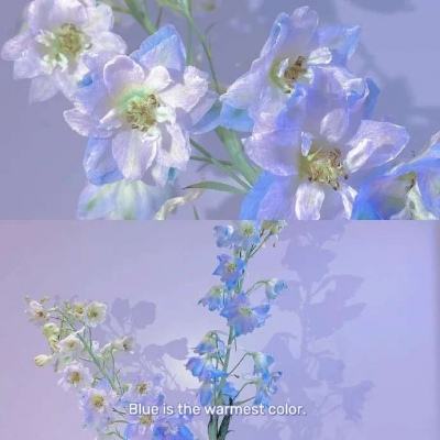 上海房价网下载